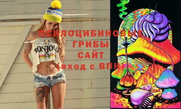 ПСИЛОЦИБИНОВЫЕ ГРИБЫ Наволоки