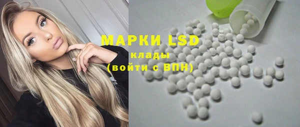 прущие грибы Навашино
