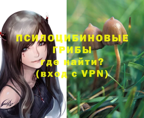 ПСИЛОЦИБИНОВЫЕ ГРИБЫ Наволоки