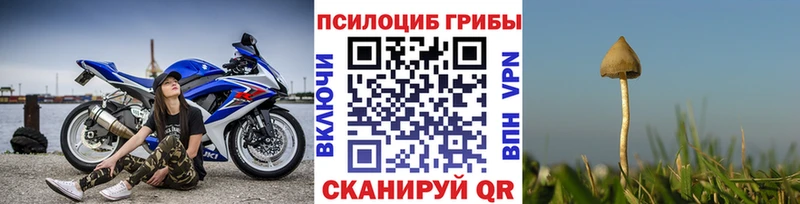 Псилоцибиновые грибы MAGIC MUSHROOMS  блэк спрут ссылка  дарк нет состав  Псков 